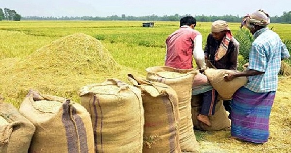 বোরো মৌসুমে ধান-চাল সংগ্রহে মূল্য নির্ধারণ