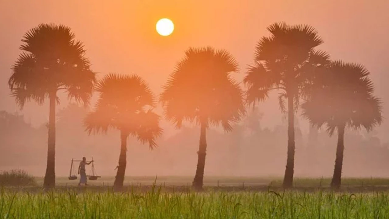 পৌষের প্রথম দিনে তাপমাত্রা নামল ৯.৪ ডিগ্রিতে