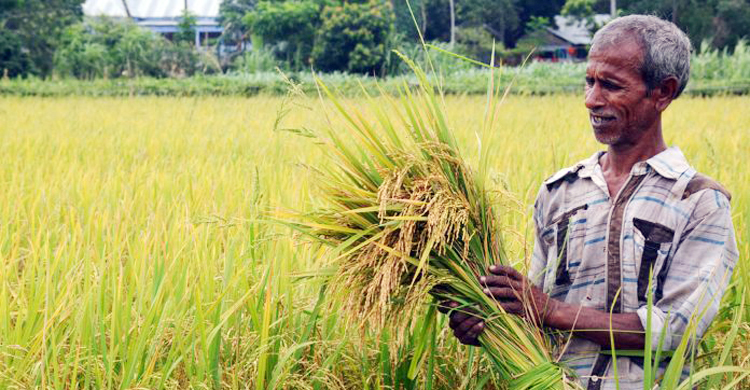 স্মার্ট কৃষি কার্ড পাবেন দুই কোটি কৃষক