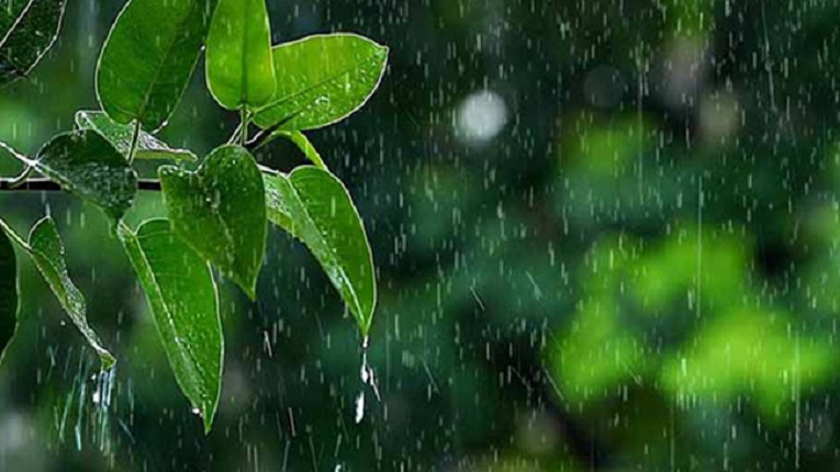 বসন্তের শুরুতেই বৃষ্টির আভাস