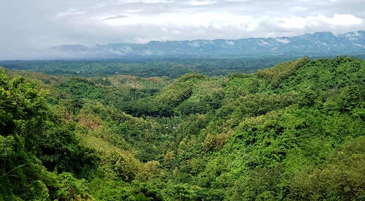 বান্দরবানে ২ সশস্ত্র সংগঠনের মধ্যে গোলাগুলি