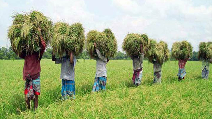 ২৫ বিঘার কম জমি থাকলে কর দিতে হবে না, সংসদে বিল পাশ