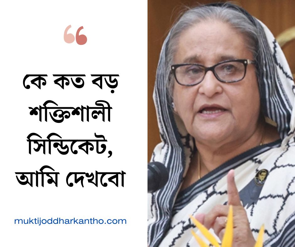 কে কত বড় শক্তিশালী সিন্ডিকেট, আমি দেখবো : প্রধানমন্ত্রী