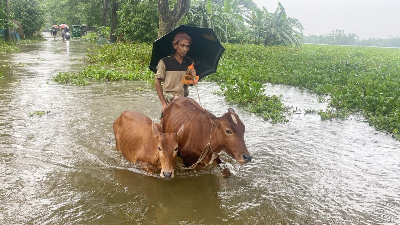 পাঁচ জেলার বন্যা পরিস্থিতি স্বাভাবিক, ফেনীসহ চার জেলায় উন্নতি