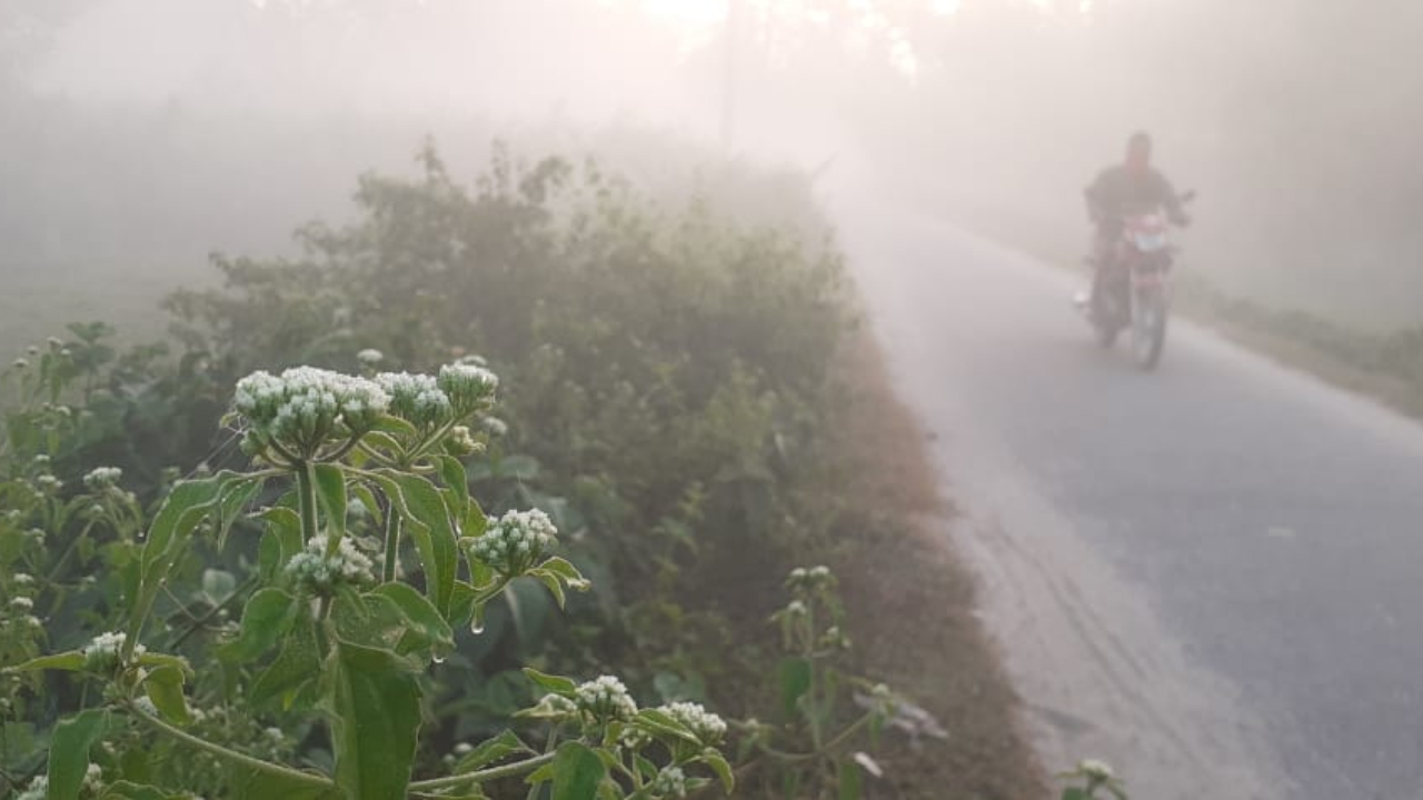 কনকনে শীতে কাঁপছে উত্তরের জনপদ