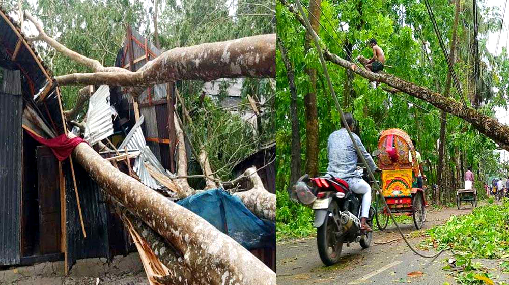 ঝড় ও বজ্রপাতে তিন জেলায় নিহত ৭