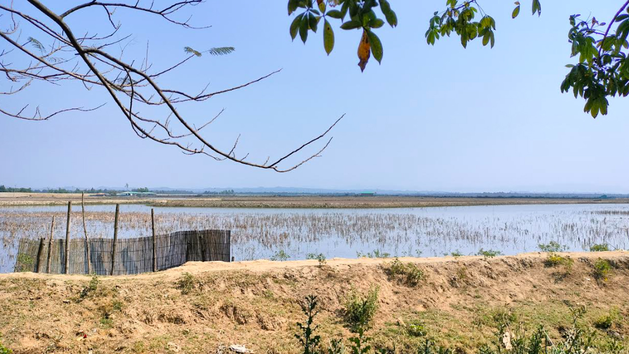 ফের টেকনাফ সীমান্তে গোলাগুলির শব্দ