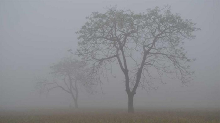 সর্বনিম্ন তাপমাত্রা রাজশাহীতে ১১ ডিগ্রি, বাড়বে কুয়াশা