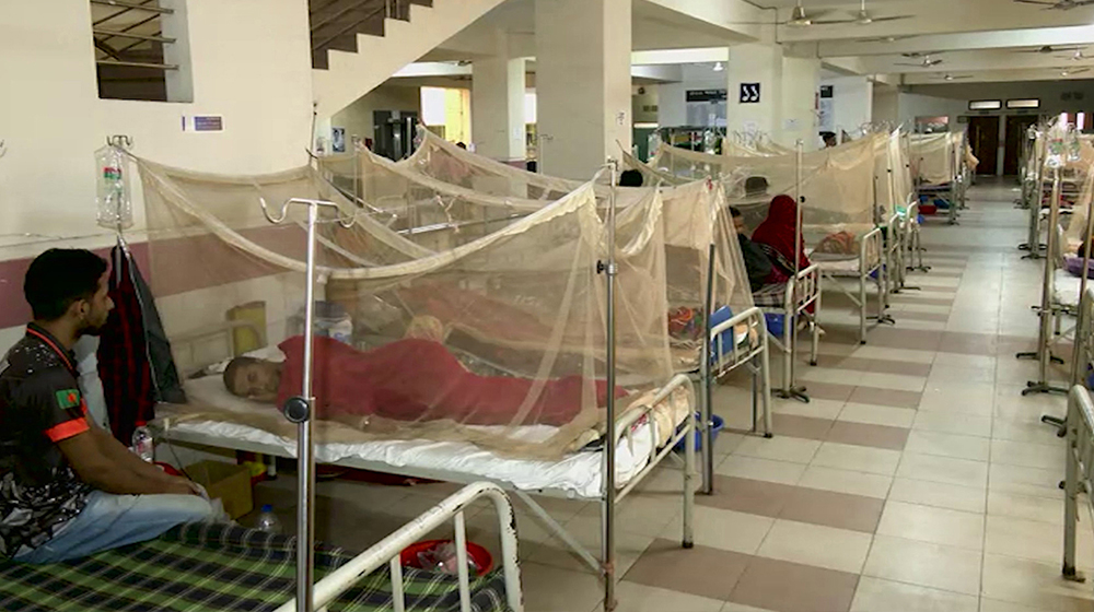 ডেঙ্গুতে ৪ জনের মৃত্যু, হাসপাতালে ২৪৭