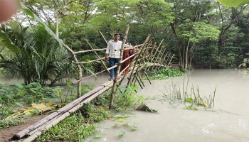 ৬ গ্রামের মানুষের পারাপারে দুর্ভোগ, ভরসা শুধু বাঁশের সাঁকো