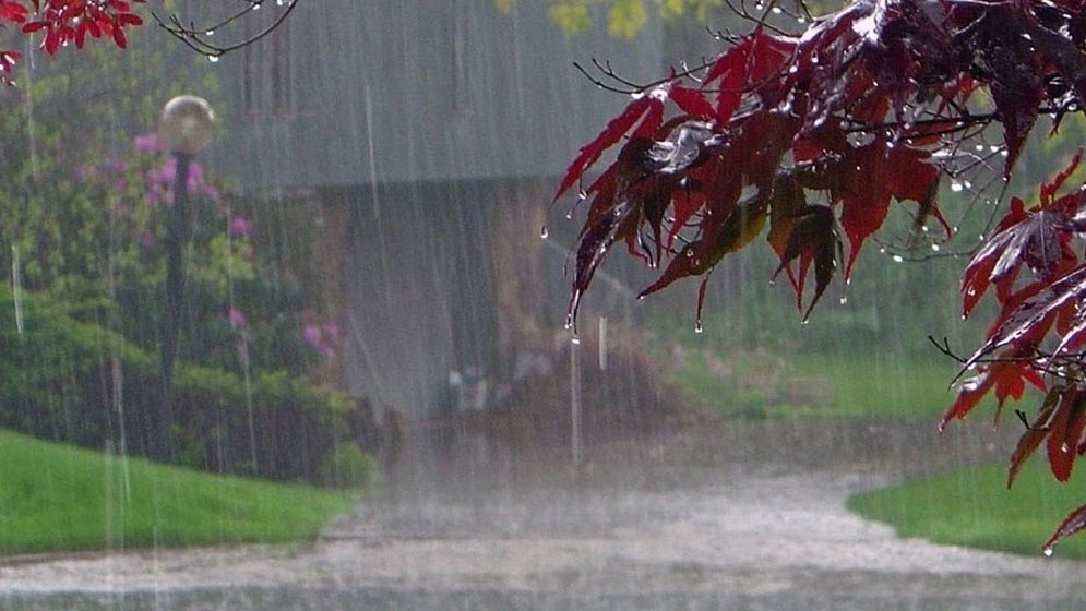 বৃষ্টি নিয়ে দুঃসংবাদ দিল আবহাওয়া অফিস