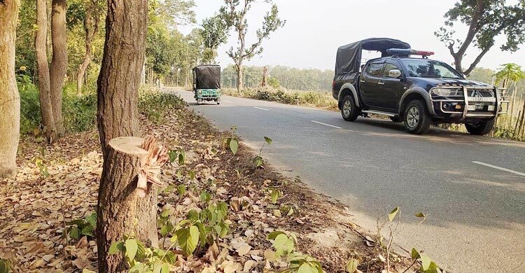 টাঙ্গাইলে শিক্ষাসফরের তিন বাসে ডাকাতি