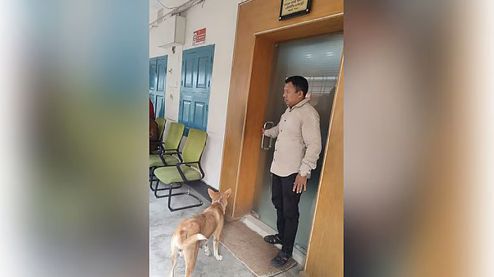 ৮ কুকুরছানাকে হত্যা: অভিযুক্ত কর্মকর্তাকে সরকারি বাসা ছাড়ার নির্দেশ