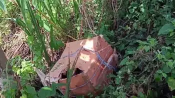 ফরিদপুরে ৩টি কার্টনে মিলল অজ্ঞাত ব্যক্তির ৬ টুকরো মরদেহ