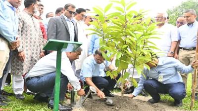 জিয়া উদ্যানে বৃক্ষরোপন-ক্রিসেন্ট লেকে মৎস্য অবমুক্ত করলেন প্রধানমন্ত্রী