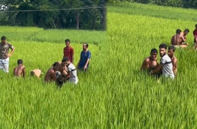 ভালুকায় ছেঁড়া বিদ্যুতের তারে জড়িয়ে দুইজনের মৃত্যু