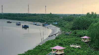 তিন মাস পর খুলেছে সুন্দরবন
