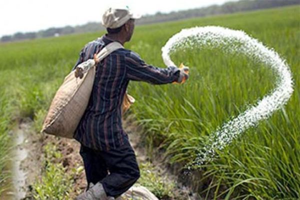 দুই দেশ থেকে ৩৪৬ কোটি টাকার সার কেনার সিদ্ধান্ত