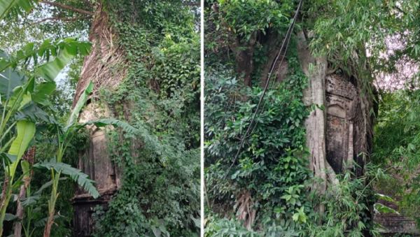 সহমরনে বাধ্য করা হয়েছিল জ্ঞানদা সুন্দরীকে
