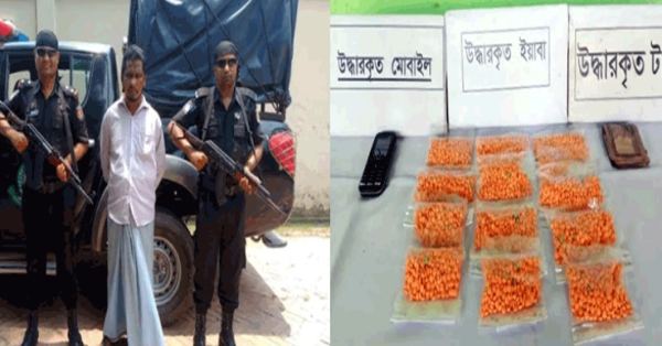 ফরিদপুরে ৪৮৯০টি ইয়াবাসহ মাদক ব্যবসায়ী আটক