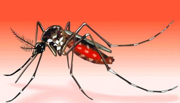 ডেঙ্গুতে আরও ১০ জনের মৃত্যু, হাসপাতালে ভর্তি ১৭৪৮