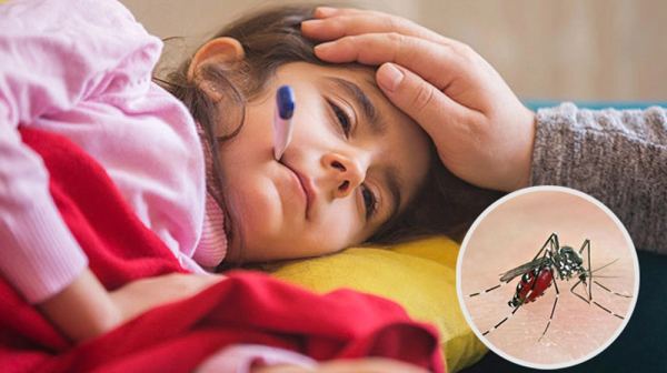 ডেঙ্গুতে মৃত্যু ১, হাসপাতালে ভর্তি ৬০৫