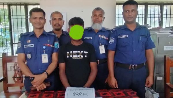 ইটনায় ৫২৫ পিস ইয়াবাসহ মাদক ব্যবসায়ী গ্রেফতার