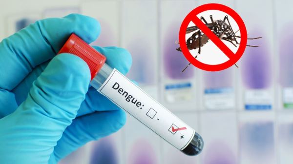 ডেঙ্গুতে একদিনে ২১ জনের মৃত্যু