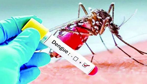 ডেঙ্গুতে মৃত্যুশূন্য দিনে আক্রান্ত ৪৪৯