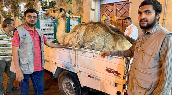 মিশরে ফিলিস্তিনি উদ্বাস্তুদের জন্য কুরবানী করছে বাংলাদেশিরা