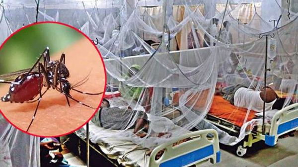 ডেঙ্গুতে আরও ২ জনের মৃত্যু, ৩২৬ জন হাসপাতালে ভর্তি