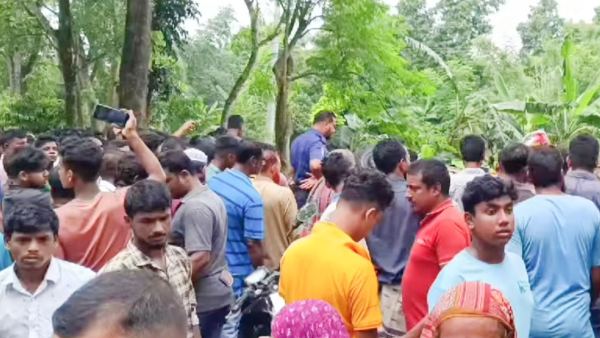 মাগুরায় ভ্যানকে ধাক্কা দিয়ে বাস খাদে, নিহত ২