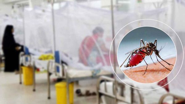 ডেঙ্গুতে ৬ জনের মৃত্যু, হাসপাতালে ভর্তি ৯৫৩