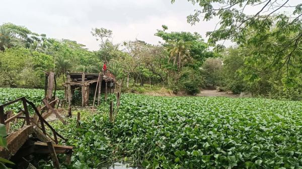 তালতলীতে মোটরসাইকেল পারাপারের সময় ব্রিজ ধস