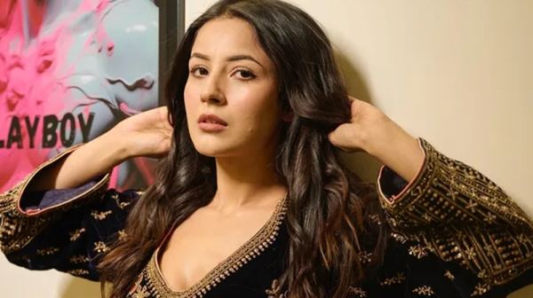 প্রেম করছেন শেহনাজ গিল