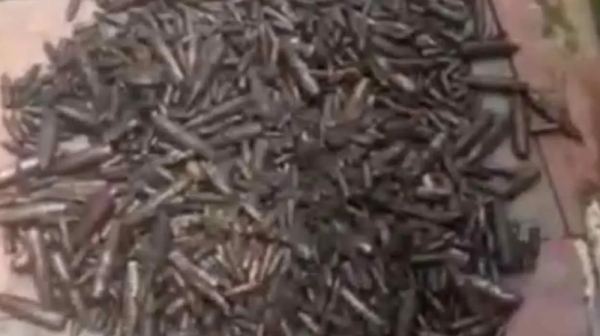 চট্টগ্রামে নালা থেকে ১ হাজার ৩৫০টি গুলি উদ্ধার