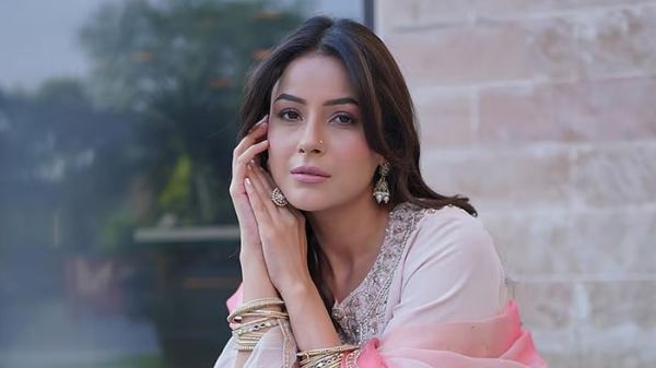 প্রেমে মজেছেন শেহনাজ গিল