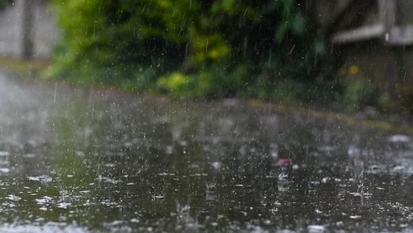 বৃষ্টি কবে কমবে, যা বললেন জলবায়ু গবেষক