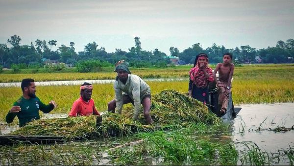 কিশোরগঞ্জে ১৬০ মিলিমিটার বৃষ্টিপাত রেকর্ড, তলিয়ে গেছে ৩ হাজার হেক্টর ধানের জমি