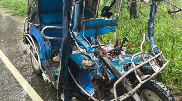 নাটোরে ট্রাকের ধাক্কায় ইজিবাইকচালকসহ নিহত ৩