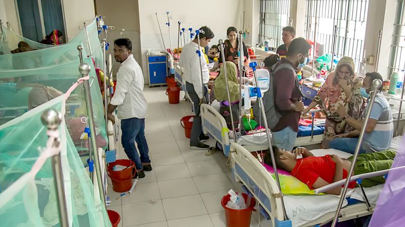 ডেঙ্গুতে ৯ জনের মৃত্যু