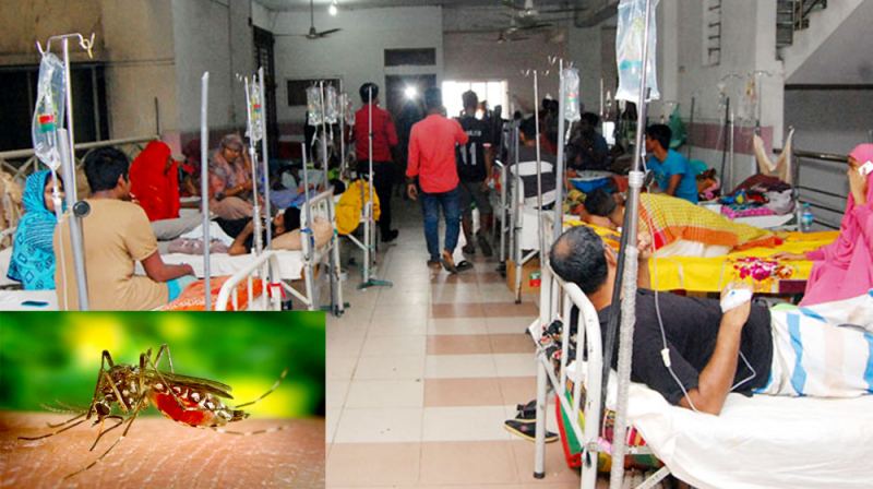 ডেঙ্গুতে ১২ জনের মৃত্যু, হাসপাতালে ২১২৯