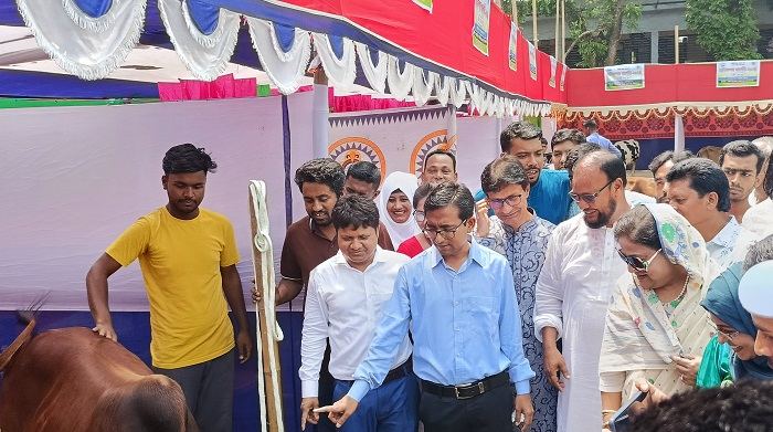 হোসেনপুরে প্রাণিসম্পদ প্রদর্শনী অনুষ্ঠিত