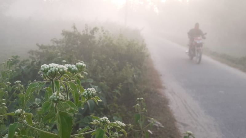 কনকনে শীতে কাঁপছে উত্তরের জনপদ