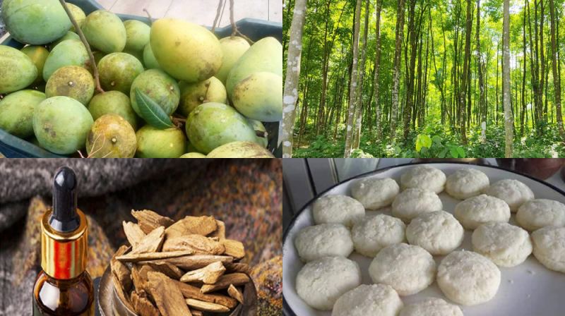 জিআই অনুমোদন পেল আরও ৪ পণ্য
