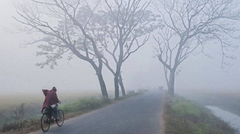 আরও জেঁকে বসবে শীত, তাপমাত্রা কমতে পারে ৩ ডিগ্রি