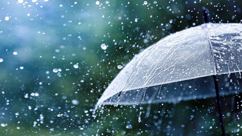 বাড়বে বৃষ্টিপাতের প্রবণতা