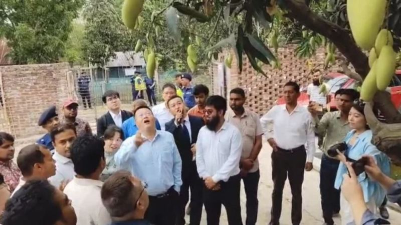 বাংলাদেশ থেকে আম নিতে আগ্রহী চীন