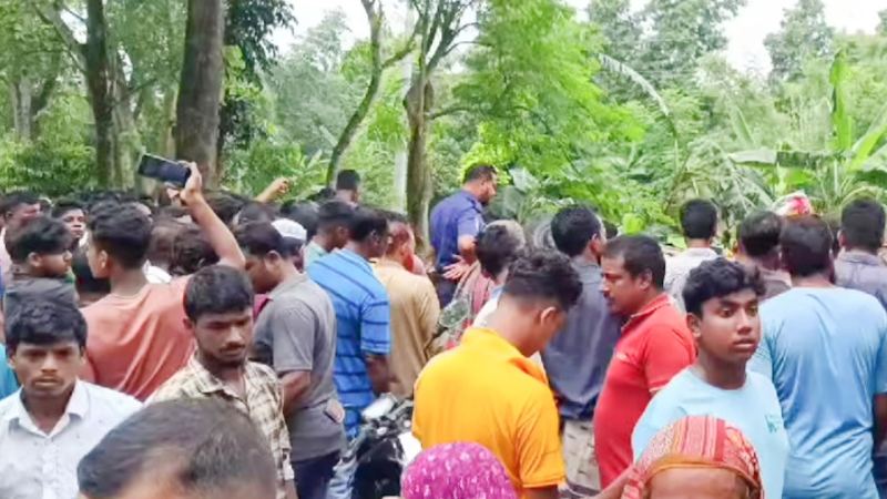 মাগুরায় ভ্যানকে ধাক্কা দিয়ে বাস খাদে, নিহত ২