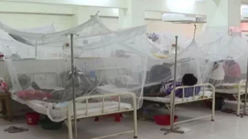 ডেঙ্গুতে ২৪ ঘণ্টায় ৩ মৃত্যু, হাসপাতালে ভর্তি ৪৯২